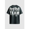 Pánské tričko RBR TEAM GRAPHIC TEE (Barva šedá, Velikost L)