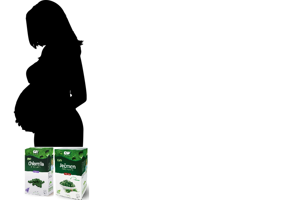 Ječmen a chlorella v těhotenství a v době kojení