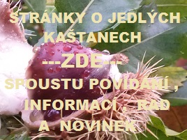 odkaz na webové stránky o jedlých kaštanech