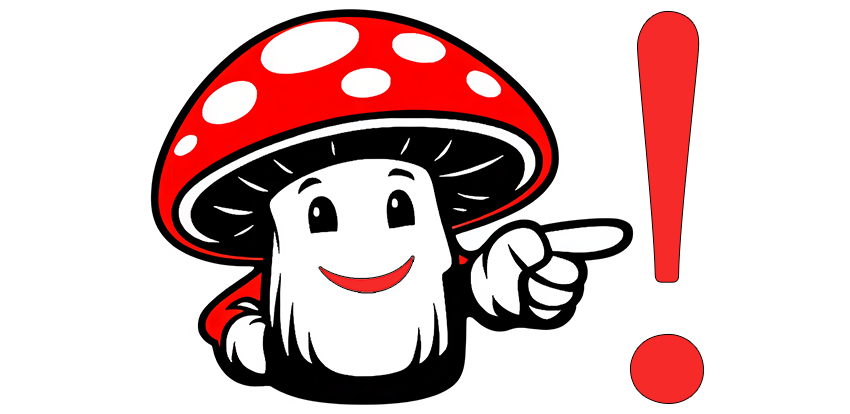 Zásady k pěstování hub a používání sadeb.