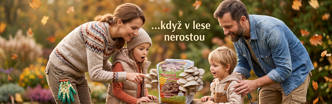 Hlívová zahrádka v podzimní zahradě.