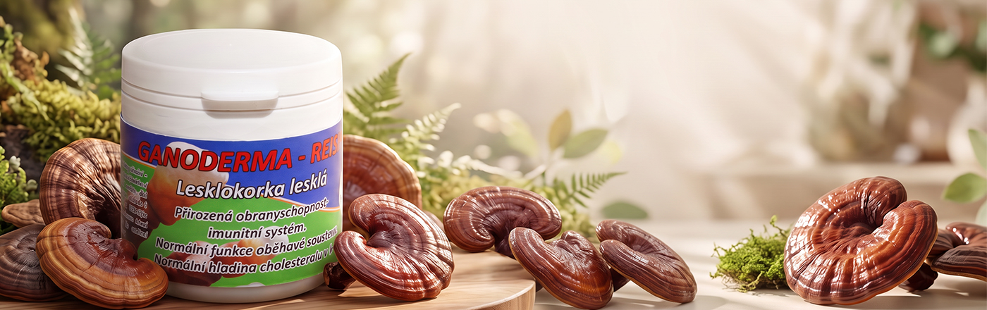REISHI ( ganoderma lucidum, lesklokorka lesklá)- královna bylin, Cholesterol, imunita, oběhový systém.....