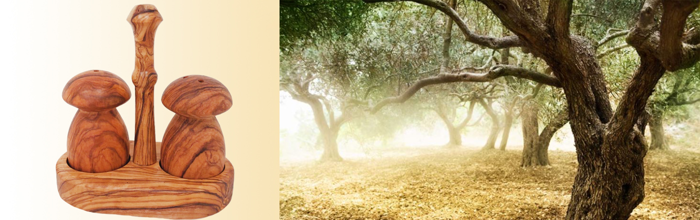 Solnička a pepřenka  - houba