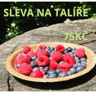 Máme pro Vás velkou slevičku na talíře, můžete objednávat na. www.jedlénádobí.cz #priroda #setrimeprirodu #environmental...