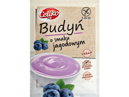 Čučoriedkový puding bez cukru a bez lepku