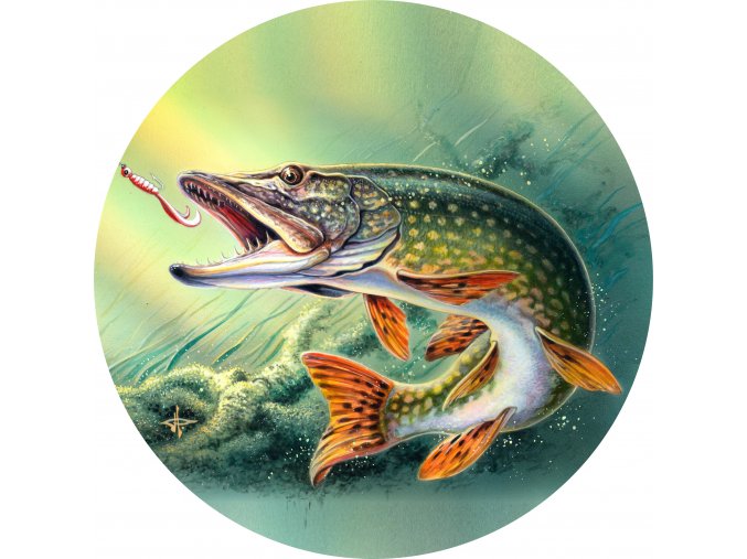 Ryby - Jedlý obrázek - RB1