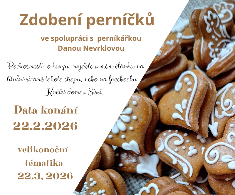 Kurz perníkového zdobení