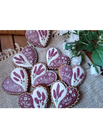 Návrh bez názvu (5)