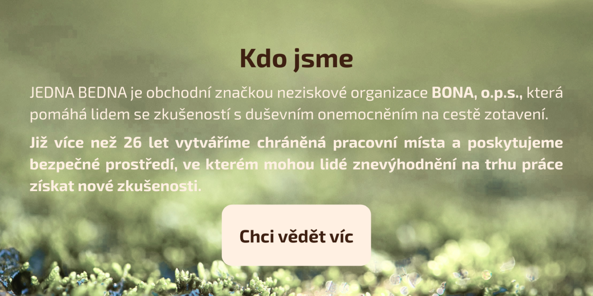 kdo jsme
