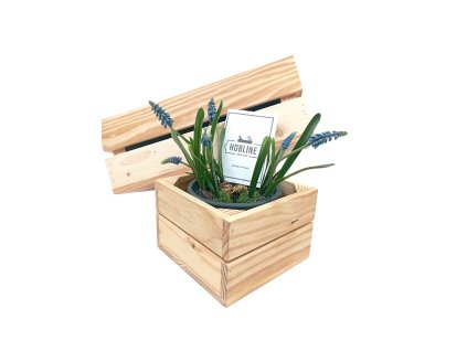 Návrh bez názvu (15)