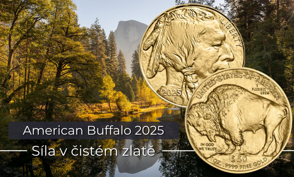 Buffalo 2025