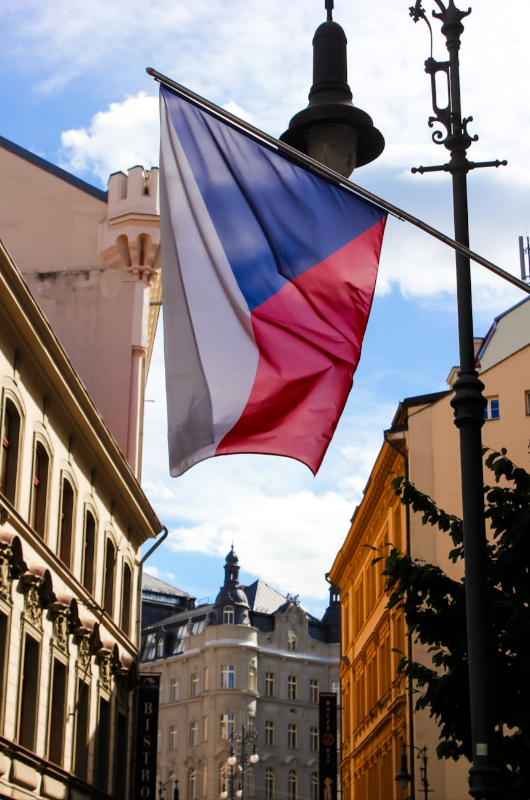 Česká vlajka