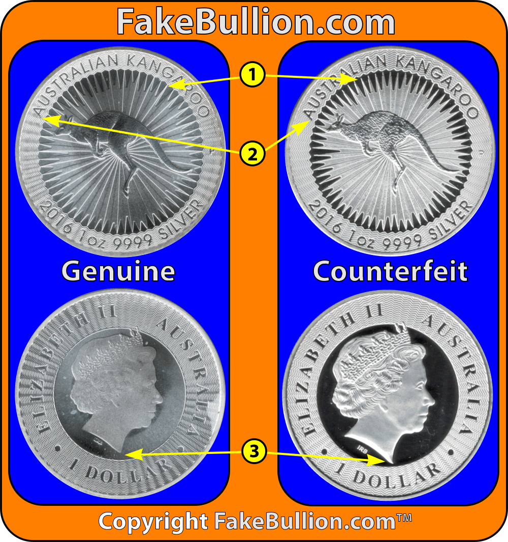 comparison_2016_australian_kangaroo