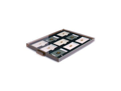 muenzbox mit 9 faechern fuer goldbarren in blisterverpackung mit schw einlage