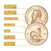 zlata-mince-1oz-krugerrand-popis