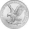 stribrna-investicni-mince-1oz-american-eagle-rub