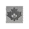 Stříbrná investiční mince 1 Oz - Maple Leaf 2026 MasterBox (500ks)