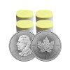 Stříbrná investiční mince 1 Oz - Maple Leaf 2026 MasterBox (500ks)