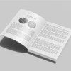 bullion bibel silber anlagemuenzen englisch 1