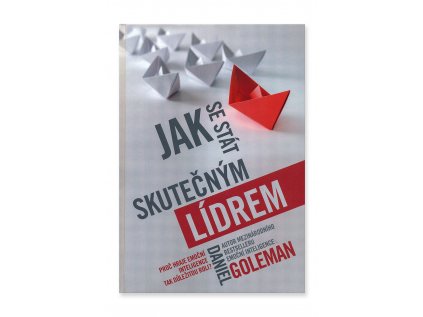 901605 Jak se stat skutecnim lidrem