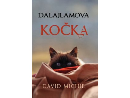 dalajlamova kocka