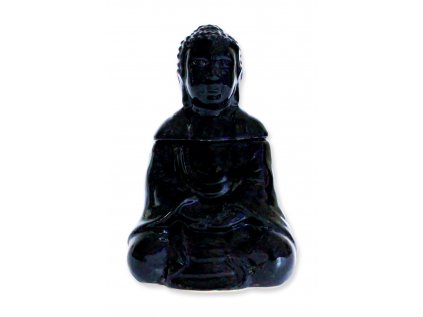 301648 Budha sediaci