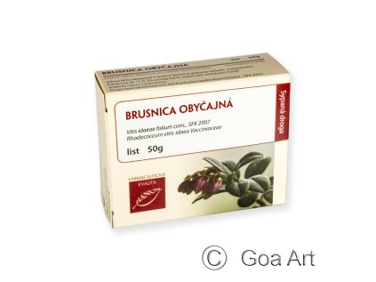 13105 Brusnica obycajna