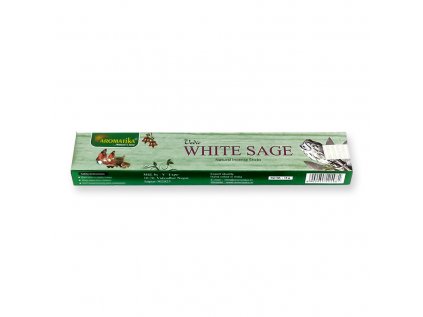 402048 Biela salvia