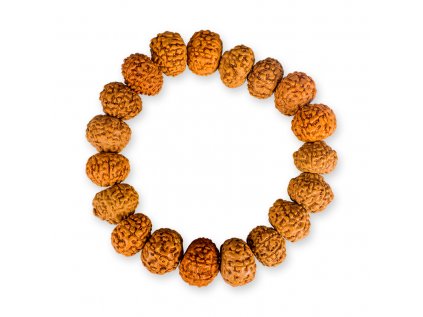 502626 Rudraksha naramok svetlohnedy