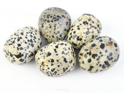 844e3f63bcc5924ab419cf59b2f579c1