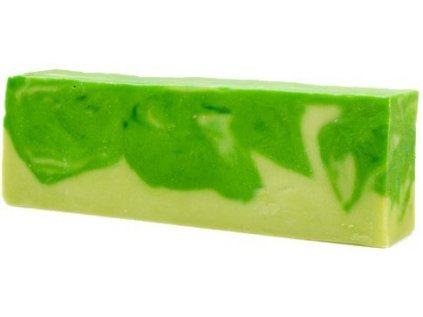 160377 olivove mydlo aloe vera
