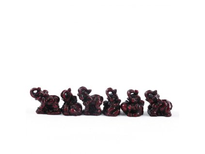 kolekcia figurok slon mix 6 ks