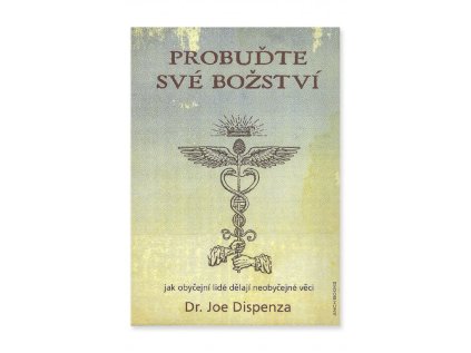 Probuďte své božství  Dr. Joe Dispenza