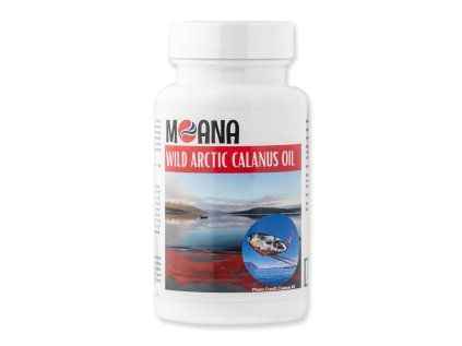 Moana Wild Arctic Oil
