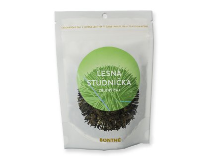 11170 Lesna studnicka kopie