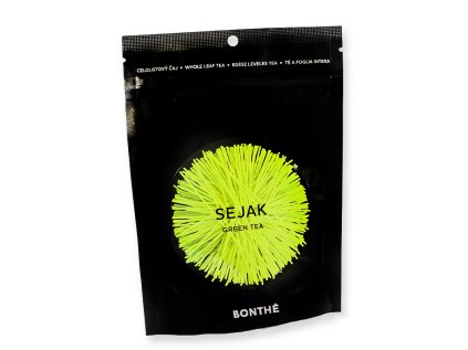 11757 Sejak kopie