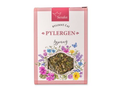 11876 Pylergen