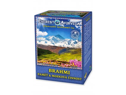 12119 Brahmi