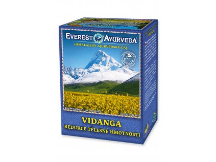 12123 Vidanga