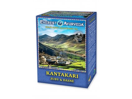 12139 Kantakari