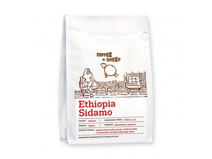 12538 Ethiopia Sidamo