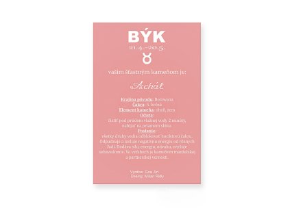 600289 Byk achat