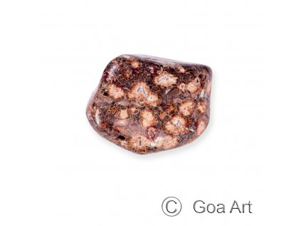 602980 Jaspis leopardi Mexiko XL