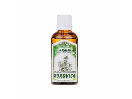 Borovica tinktúra z pupeňov