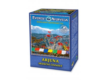 12264 Arjuna