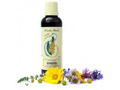 divozel velkokvety 50ml tinktura macerat z byliny