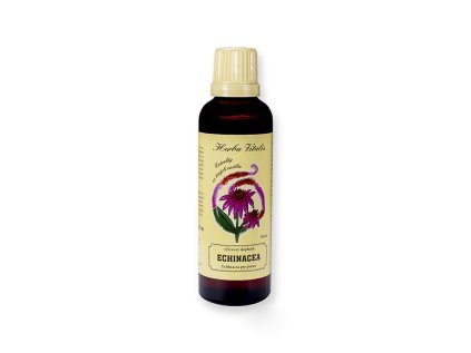 700890 Echinacea