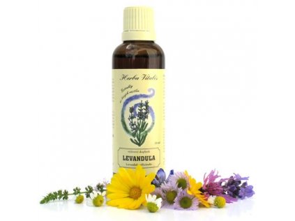 tinktura z byliny levandula lekarska herba vitalis 1357.thumb 600x600