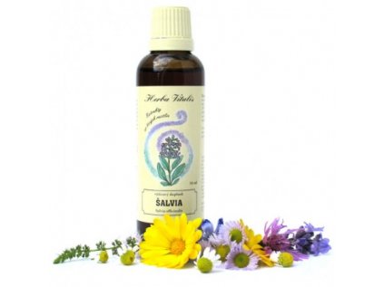 salvia lekarska 50ml tinktura macerat z byliny