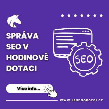 SPRÁVA SEO V HODINOVÉ DOTACI